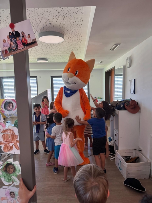 twsd Katze zu Besuch 2