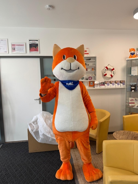 twsd Katze zu Besuch 3