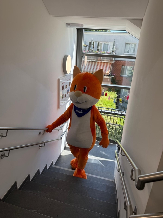 twsd Katze zu Besuch 5