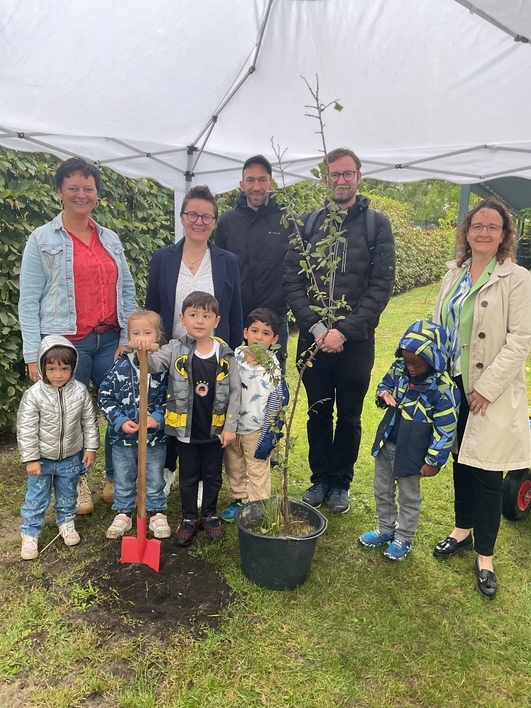 twsd kita zwergtaucher