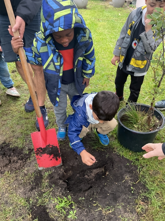 Ein Regenwurm ist auch da